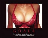 Goals.jpg image by mhack01