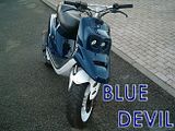 blue_devil.jpg image by sebasj